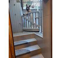 Haus zum Kaufen in Ebersbach 399.000,00 € 140 m²