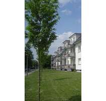 Wohnung zum Mieten in Rheinberg 617,28 € 66.95 m²