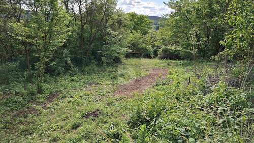 Foto - Grundstück zu verkaufen in Priesendorf 270.000,00 € 2588 m²
