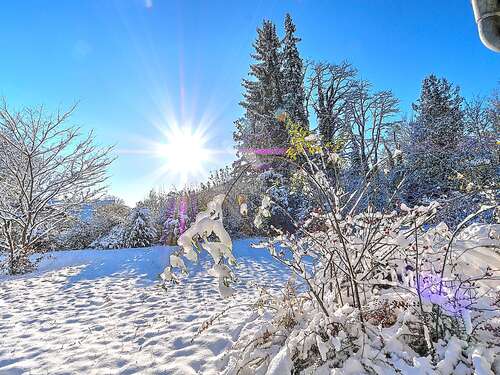 Foto - Grundstück zu verkaufen in Planegg 2.950.000,00 € 1305 m²