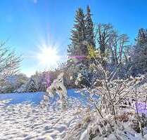 Grundstück zu verkaufen in Planegg 2.950.000,00 € 1305 m²