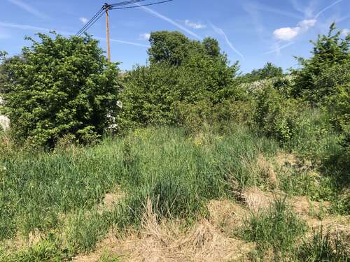 Foto - Grundstück zu verkaufen in Reudern 220.000,00 € 275 m²