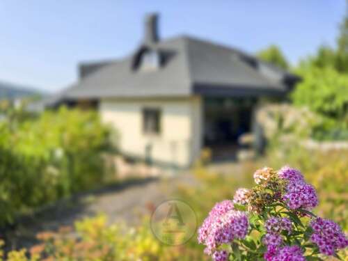 Foto - Haus zum Kaufen in Schlüchtern 799.000,00 € 378 m²
