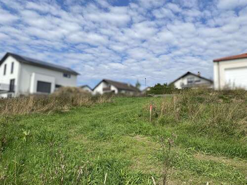 Foto - Grundstück zu verkaufen in Reichertshofen 193.600,00 € 352 m²