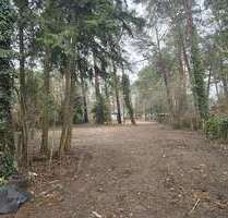 Grundstück zu verkaufen in Zühlsdorf 310.000,00 € 1370 m²