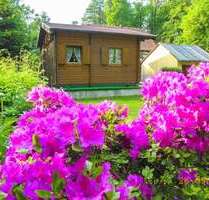 Haus zum Kaufen in Großharthau 50.000,00 € 24 m²