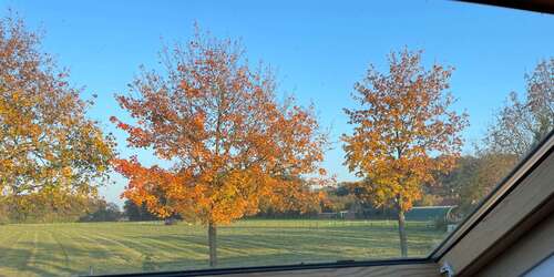 Foto - Wohnung zum Mieten in Münster 1.150,00 € 134 m²