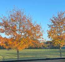 Wohnung zum Mieten in Münster 1.150,00 € 134 m²