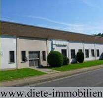 Halle in Bielefeld 1.590,00 € 351 m²