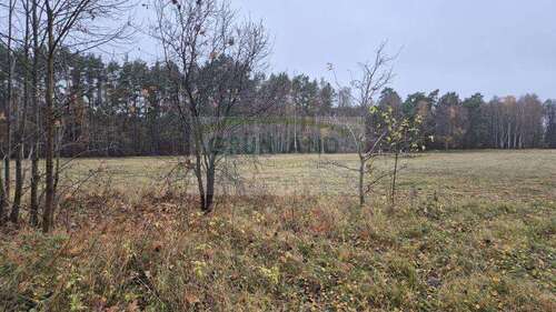 Foto - Grundstück in Banzendorf 160.000,00 € 109880 m²