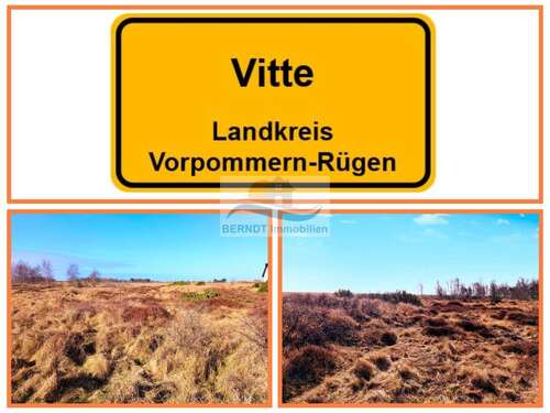 Foto - Grundstück in Vitte 19.000,00 € 993 m²