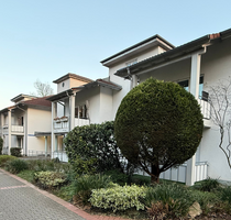 Wohnung zum Mieten in Grenzach-Wyhlen 500,00 € 40.35 m²