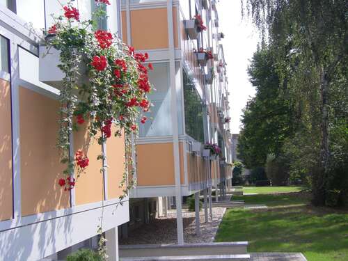 Foto - Wohnung zum Mieten in Wurzen 225,00 € 32.5 m²