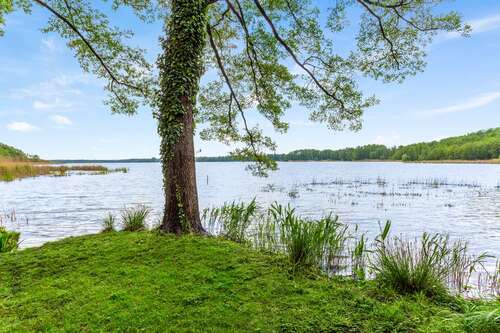 Foto - Haus zum Kaufen in Am Mellensee Mellensee 529.000,00 € 238 m²