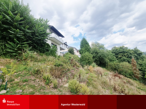 Foto - Haus zum Kaufen in Eisenbach 498.000,00 € 366 m²