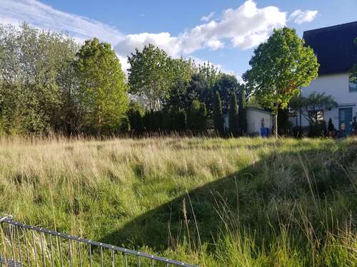 Foto - Grundstück zu verkaufen in BINZ 299.000,00 € 656 m²