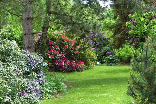 Foto - Haus zum Mieten in Mülheim 1.200,00 € 124 m²