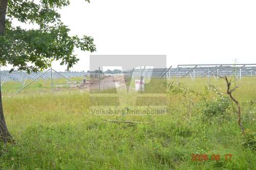 Foto - Grundstück in Lachendorf 650.000,00 € 85663 m²