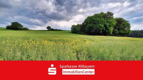 Foto - Grundstück in Pöttmes 79.000,00 € 10044 m²