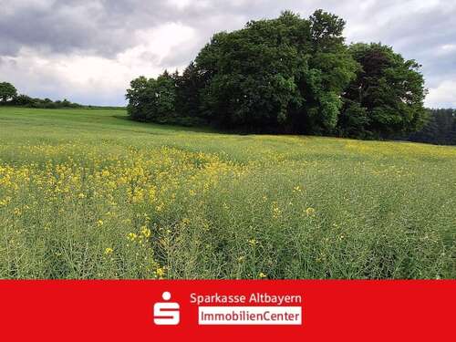 Foto - Grundstück in Pöttmes 79.000,00 € 10044 m²