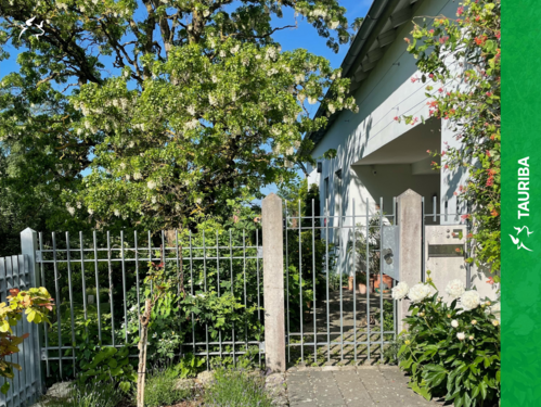 Foto - Haus zum Kaufen in Gaimersheim 1.390.000,00 € 330 m²