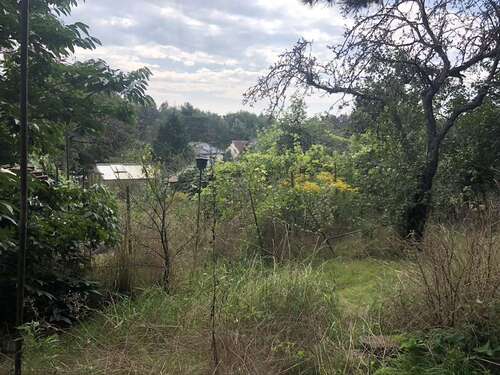 Foto - Grundstück zu verkaufen in Lutherstadt Wittenberg 42.500,00 € 500 m²