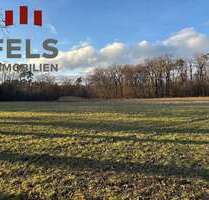 Grundstück in Dreieich 179.000,00 € 28174 m²