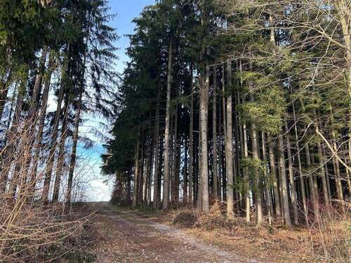 Foto - Spezialgewerbe in Hagenheim 22.500,00 €