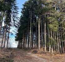 Spezialgewerbe in Hagenheim 22.500,00 €