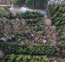 Spezialgewerbe in Hagenheim 11.800,00 €