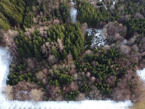 Foto - Spezialgewerbe in Hagenheim 62.500,00 €