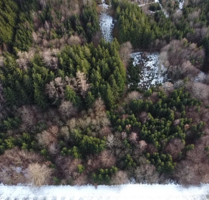 Spezialgewerbe in Hagenheim 62.500,00 €