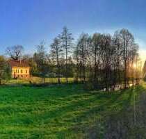 Haus zum Kaufen in Uslar 625.000,00 € 230 m²