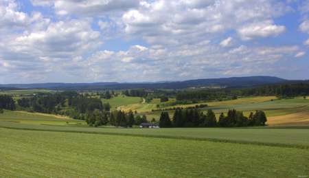 Foto - Wohnung zum Kaufen in Löffingen-Dittishausen 85.000,00 € 37 m²