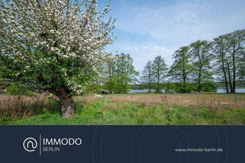 Foto - Grundstück zu verkaufen in Seddiner See 530.000,00 € 1821 m²