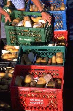 Foto - Einzelhandel in Hallbergmoos 1.200,00 € 87 m²