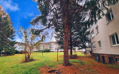 Foto - Wohnung zum Mieten in Dresden 405,00 € 42.58 m²