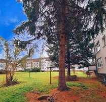 Wohnung zum Mieten in Dresden 405,00 € 42.58 m²