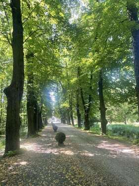 Foto - Wohnung zum Kaufen in Bergheim 209.000,00 € 60 m²