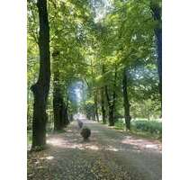 Wohnung zum Kaufen in Bergheim 209.000,00 € 60 m²