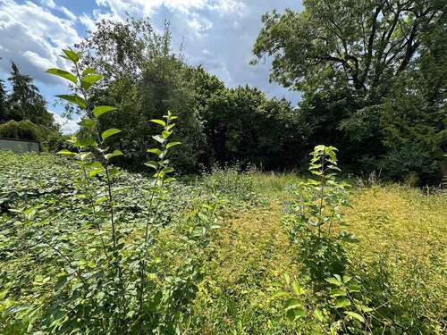 Foto - Grundstück zu verkaufen in Augsburg 780.000,00 € 1216 m²