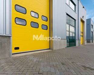Halle in Hainburg 3.500,00 € 500 m²