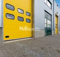 Halle in Hainburg 3.500,00 € 500 m²