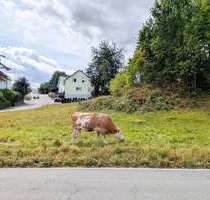 Grundstück zu verkaufen in Rimbach 219.500,00 € 665 m²