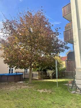 Foto - Wohnung zum Mieten in Radebeul 410,00 € 47.44 m²