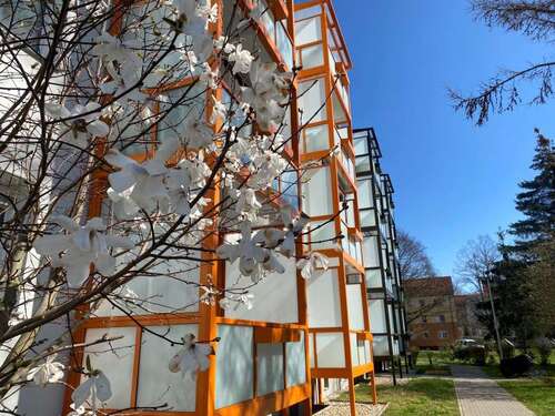 Foto - Wohnung zum Mieten in Dessau-Roßlau 450,00 € 61.98 m²