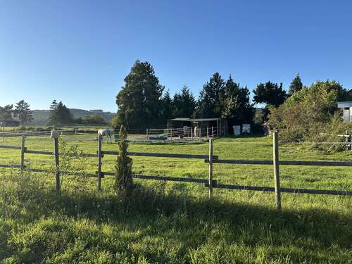 Foto - Wohnung zum Kaufen in Eltville am Rhein 349.000,00 € 91 m²