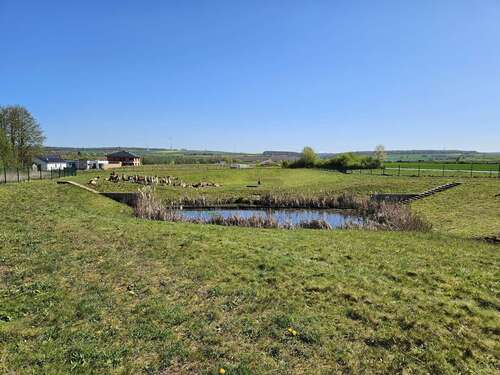Foto - Grundstück zu verkaufen in Hofgeismar 126.750,00 € 507 m²