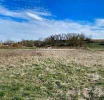 Grundstück in Wang 460.000,00 € 8000 m²