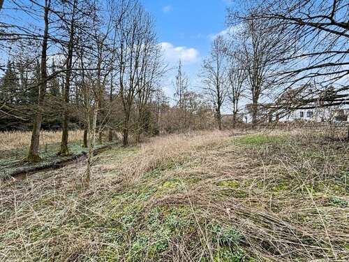 Foto - Grundstück zu verkaufen in Wilburgstetten - Wittenbach 49.900,00 € 1083 m²